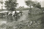 Sznaboglyk mentse Mersevt hatrban a Cinca 1943-as rvizekor