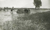 Sznaboglyk mentse Mersevt hatrban a Cinca 1943-as rvizekor