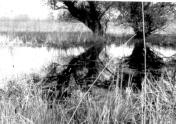 A Feneketlen-t Mersevt hatrban (1970-es vek)