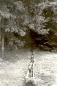 A Sarvaly-forrs vizt levezet egykori fa vjsor (1979. 7. 20.)