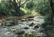 A Torna patak Ajka felett (1987)