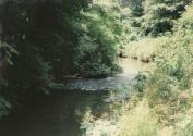 A Torna patak Ajka felett (1987)