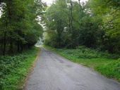 A falu felé vezető aszfaltút felső szakasza (2005)