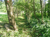 A Marcal-meder kezdetének nyomai, balra a szőlőhegy széle (2011)