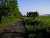 Az árok mellett párhuzamosan haladó, faluba vezető út (2008)