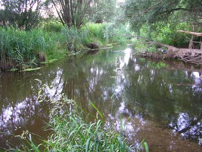 Tallkozs a Marcallal (2008)