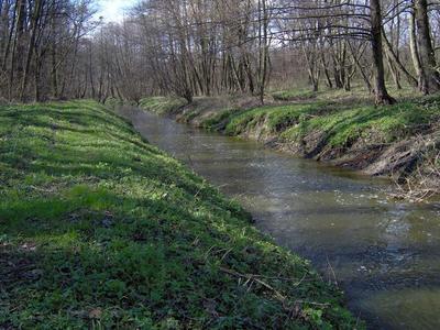 A Csigere a Szki-t zsilipje alatt (2008)