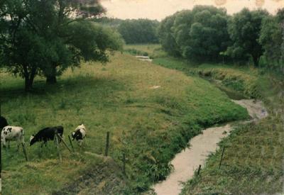 A Csigere a szkpusztai hdnl (1987)