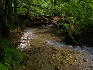 A Gerence a Szmrkei-vlgyben (2009)