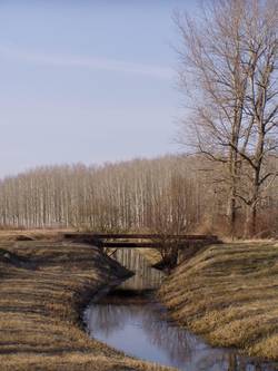 A Hunyor-patak Bnhalma hatrban (2012)