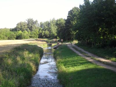 A Kgys-patak Veszprmgalsnl (Fot: harczi.szandi, Panoramio)