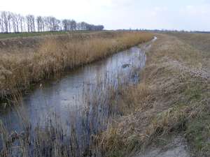 A Kis-Séd a borsosgyőri híd alatt (2012)