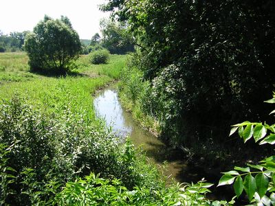 A Tótvári-patak Kisvásárhelynél (2008)